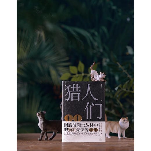 猎人们 朱天心 著 文学 商品图1