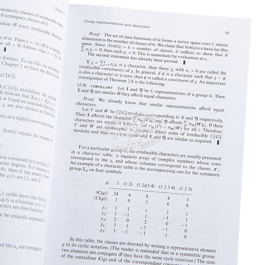 【中商原版】有限群的特征论 Character Theory of Finite Groups 英文原版 I Martin Marty 数学 数据库推导特征 商品图2