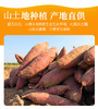 葫芦岛山庄山土地地瓜纯天然不打农药不施化肥非转基因15斤装包邮 商品缩略图0