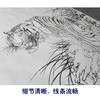 【大彩图】董希源工笔画白描底稿《回眸》老虎动临摹动物线稿A636 商品缩略图4