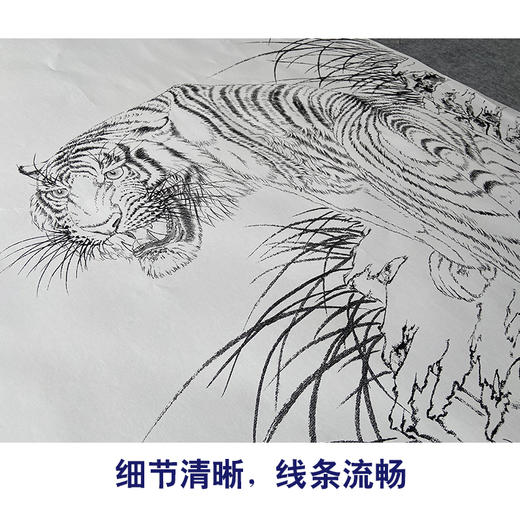 【大彩图】董希源工笔画白描底稿《回眸》老虎动临摹动物线稿A636 商品图4