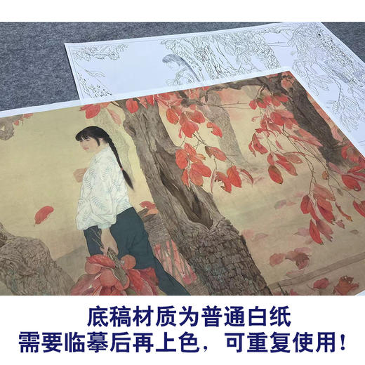 【大彩图】何家英工笔画白描底稿《十九秋》临摹勾线人物线稿ZV17 商品图3