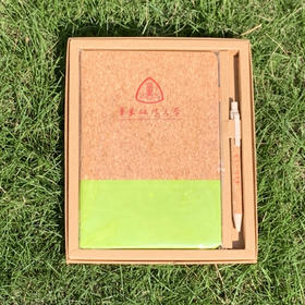 环保笔记本套装