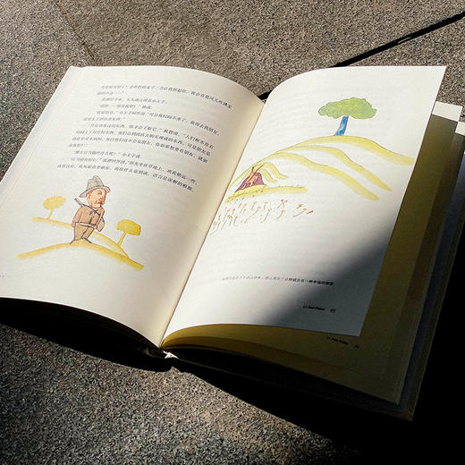 小王子 周克希译文选 世界名著 赠送精美藏书票 精装书籍 原版精美插图 商品图7