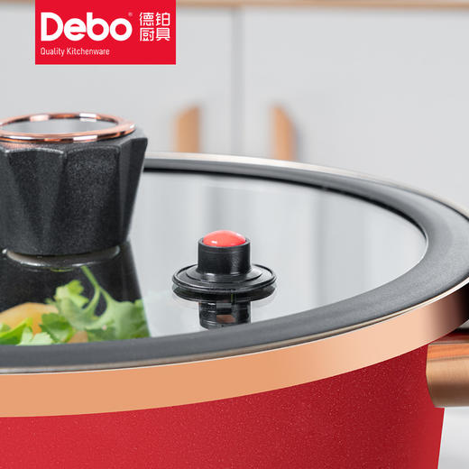 Debo德铂希金斯特搪瓷不粘温显定时微压锅汤锅 商品图5