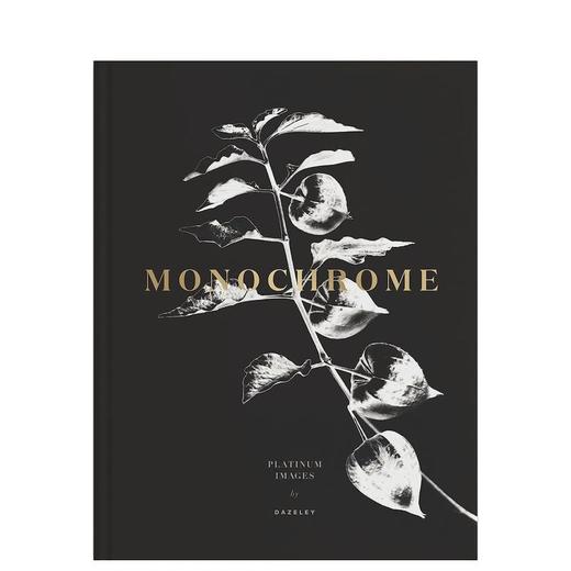 【预订】Monochrome: Platinum Prints | 单色：铂金版画摄影 商品图0