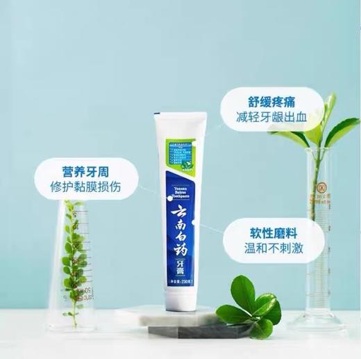 云南白药牙膏 230g 商品图1