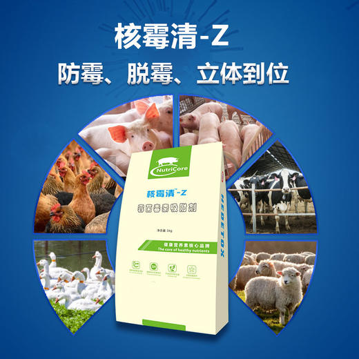 【核霉清-Z】和仕康特X吸附玉米赤霉烯酮不吸附营养成分甘露聚糖复合益生菌改性蒙脱石1公斤 商品图1