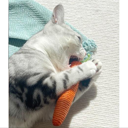 剑麻胡萝卜猫咪玩具纸绳磨爪洁齿自嗨互动玩具/个 商品图3