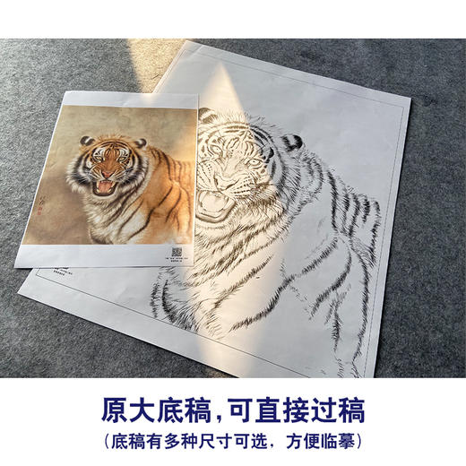 【大彩图】刘继彪工笔画白描底稿《老虎》初学者临摹动物线稿A631 商品图1