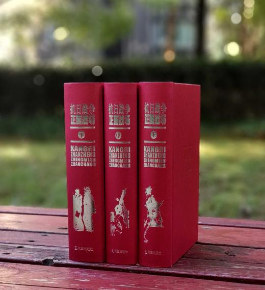 重点推荐！！《抗日战争正面战场》，精装，32开，全3册，中国第二历史档案馆编，凤凰出版社2023年10月一版二印，2835页，定价380元，售价198元。 商品图5