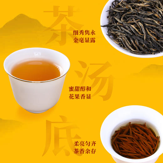 武夷星 武夷 方言 金骏眉 武夷红茶 茶叶礼盒 5g*48 商品图4