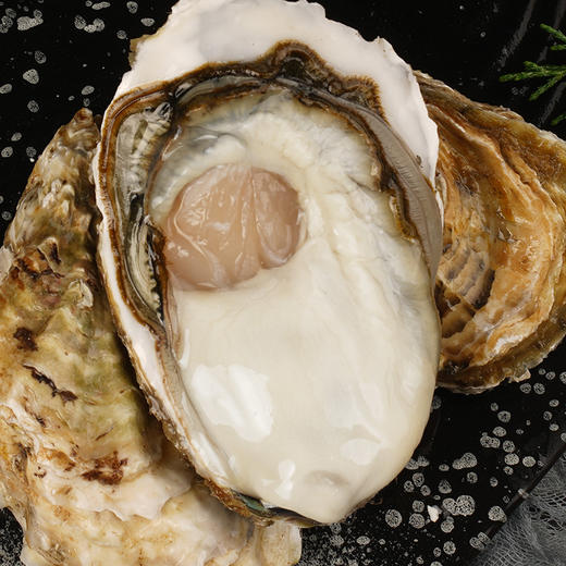 【乳山生蚝】中国地理标志产品 味鲜肥美 现捞现发 商品图2