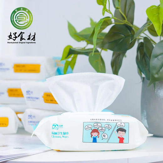 CY-消毒湿巾亲肤洁柔湿巾80抽*4包 商品图1