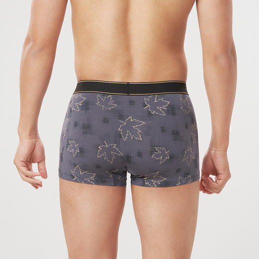 都市丽人都市锋尚日常休闲40S人棉舒适人棉平角男士内裤FK3CE1 商品图2