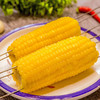 【冰雪良田】海伦市 玉米  10穗  东北甜糯玉米 非转基因 单根独立真空包装 玉米礼箱（黄玉米） 商品缩略图1