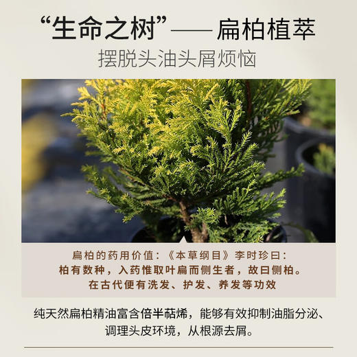 浅香（ASAKA）洗发水男女士去屑控油洗发露750g 商品图3