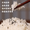 【益品良食】香畴玉针香 米粒细长 米饭清香  源自山泉水的滋养2.5kg 商品缩略图2