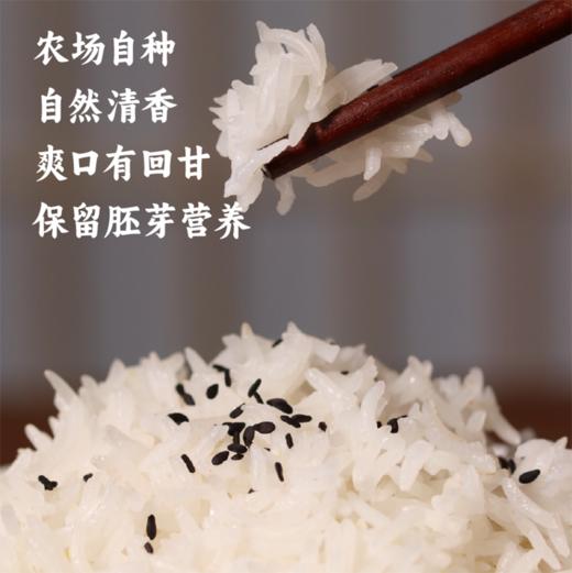 【益品良食】香畴玉针香 米粒细长 米饭清香  源自山泉水的滋养2.5kg 商品图2