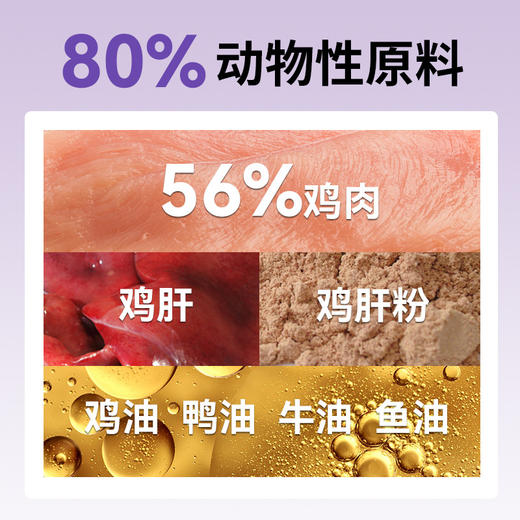 猫粮厂家批发宠物幼猫粮成猫通用型全价无谷冻干猫粮10kg猫舍40斤 商品图3