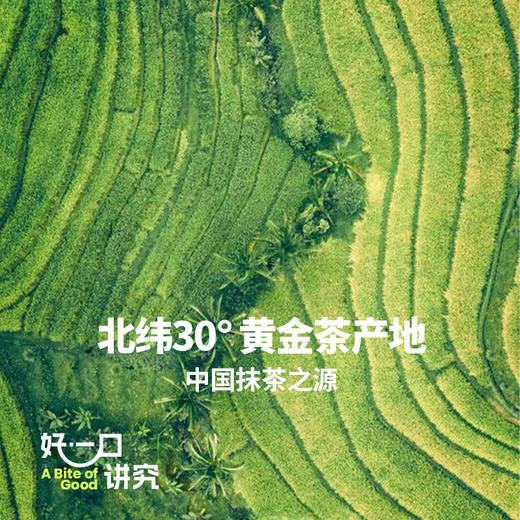 【水果麦片】RICH&LIGHT 烘焙麦片 好多莓莓 /海盐榛子可可/抹茶红豆无花果 300g 商品图8