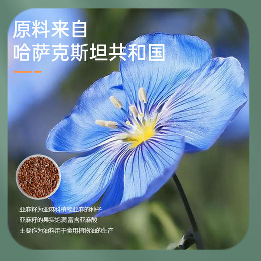 【绿洲果实】有机亚麻籽油 500ml 商品图2