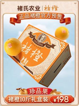 2025季励志橙珍品XXL10斤装一箱