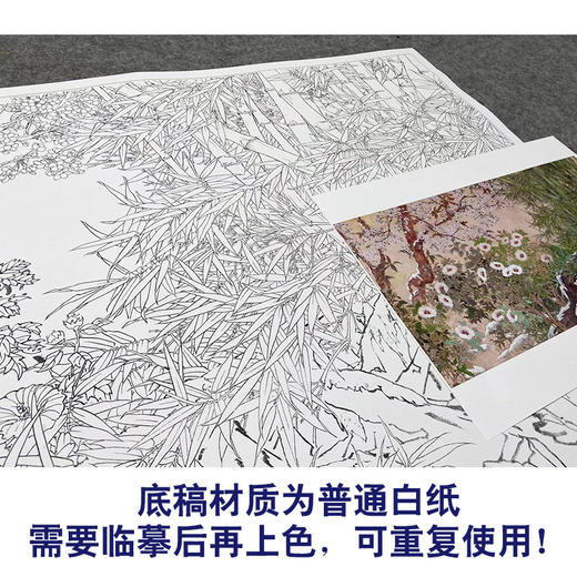 【大彩图】横幅工笔画白描底稿《傲雪迎春图》竹子梅花木槿临摹勾线花鸟线稿HN15 商品图3