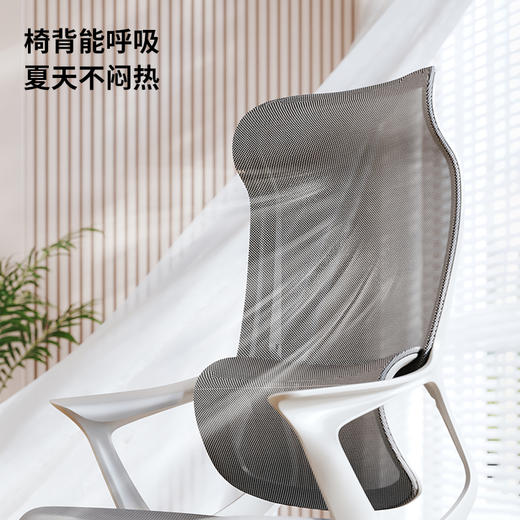 乐歌电脑椅人体工学椅居家办公学习椅Y11 商品图2