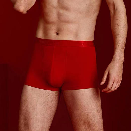 红色本命年男士内裤莫代尔中腰结婚四角裤桑蚕丝内档无痕平角裤 商品图4