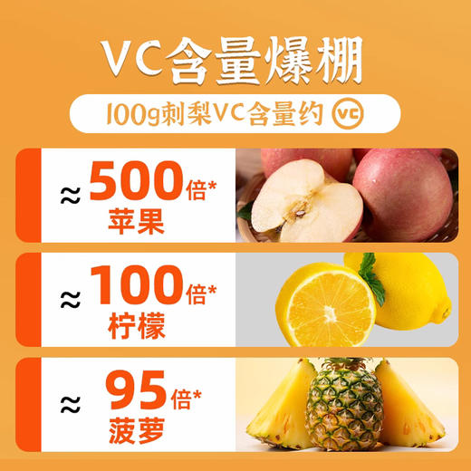 刺梨干果脯蜜饯贵州土特产野特生果干年货级小零食 商品图4