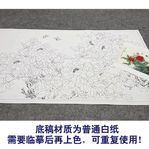 【大彩图】董希源横幅工笔画白描底稿《万古英华》牡丹临摹勾线花鸟线稿HN16 商品图3