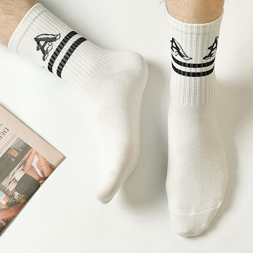 都市丽人都市锋尚休闲系列宝宝绒中筒袜厚款男士常规袜袜子FC3DF1 商品图0