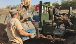 葫芦岛山庄山土地地瓜纯天然不打农药不施化肥非转基因15斤装包邮 商品图4