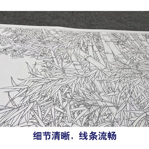 【大彩图】横幅工笔画白描底稿《傲雪迎春图》竹子梅花木槿临摹勾线花鸟线稿HN15 商品图4
