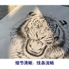 【大彩图】刘继彪工笔画白描底稿《老虎》初学者临摹动物线稿A631 商品缩略图4