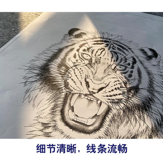 【大彩图】刘继彪工笔画白描底稿《老虎》初学者临摹动物线稿A631 商品图4
