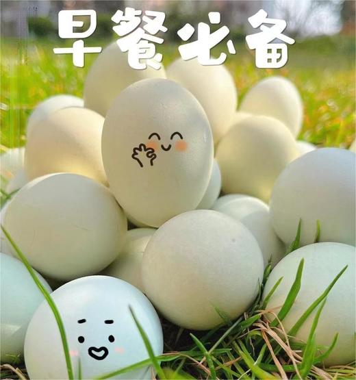 贵州虫草乌鸡蛋 商品图1