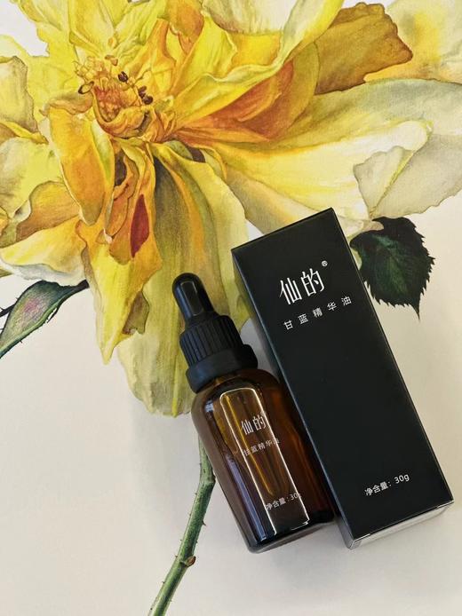 甘蓝精华油 改善干燥 滋养肌肤 做温“油”美人 商品图1