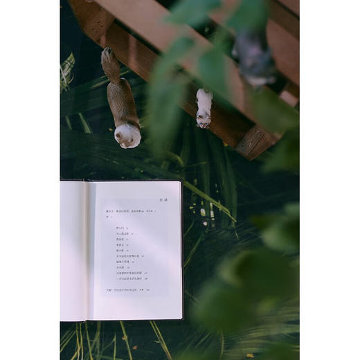 猎人们 朱天心 著 文学 商品图2