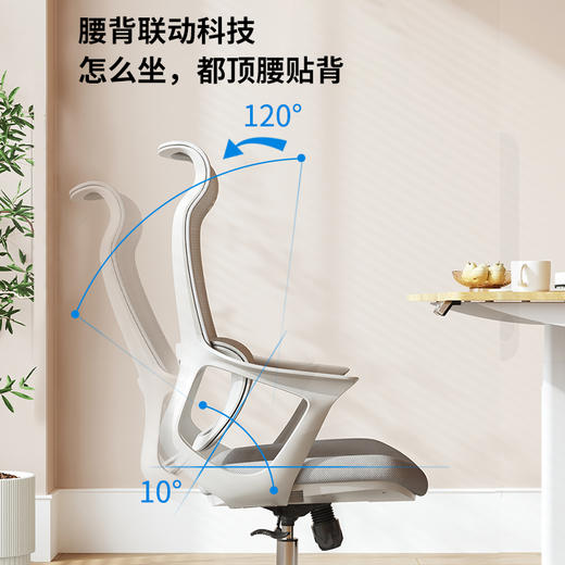 乐歌电脑椅人体工学椅居家办公学习椅Y11 商品图3