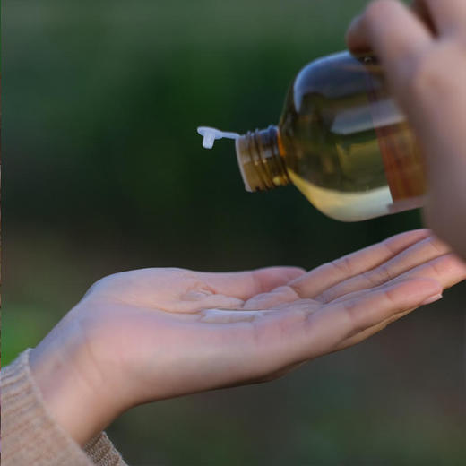 【大马士革玫瑰纯露】大马士革玫瑰 幕顶级的食用玫瑰，保加利亚官方合作基地纯种种苗，自然农法种植，桃花源中有玫瑰! 商品图6