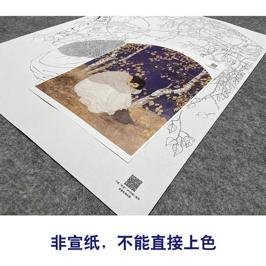【大彩图】何家英工笔画白描底稿《秋冥》高清打印稿人物线稿ZV16 商品图2