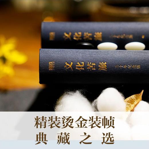 文化苦旅三十年纪念版 余秋雨著 文学散文行者无疆千年一叹 商品图3