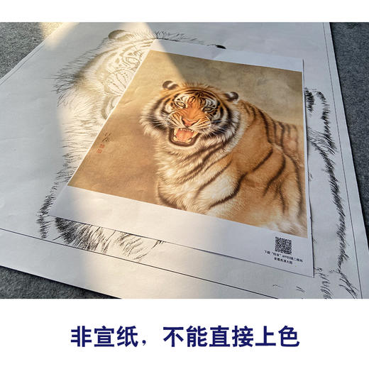 【大彩图】刘继彪工笔画白描底稿《老虎》初学者临摹动物线稿A631 商品图2