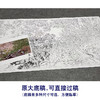 【大彩图】横幅工笔画白描底稿《傲雪迎春图》竹子梅花木槿临摹勾线花鸟线稿HN15 商品缩略图1