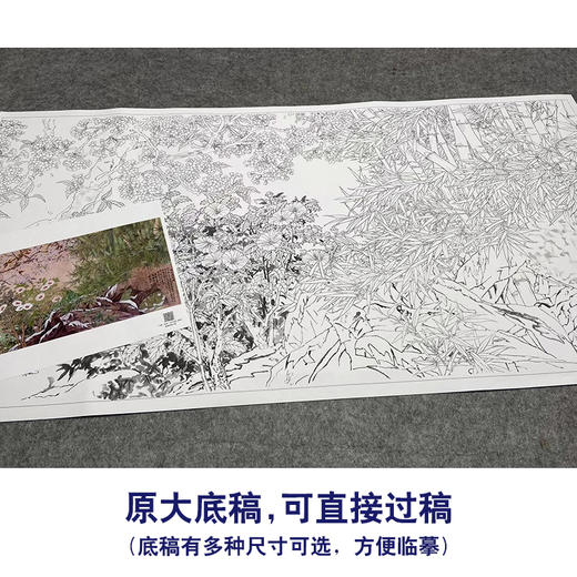 【大彩图】横幅工笔画白描底稿《傲雪迎春图》竹子梅花木槿临摹勾线花鸟线稿HN15 商品图1