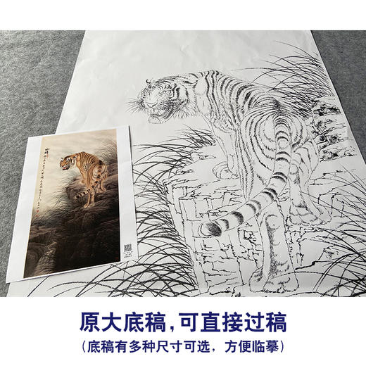 【大彩图】董希源工笔画白描底稿《回眸》老虎动临摹动物线稿A636 商品图1