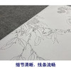 陈之佛工笔花鸟白描底稿《荔枝绶带》-斗方小品册页-多种白描尺寸可选-QA53 商品缩略图4