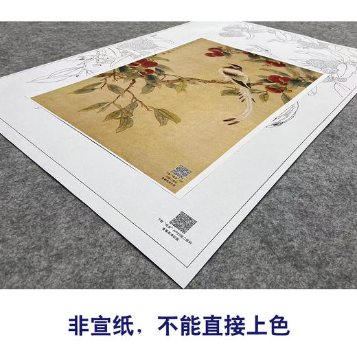 陈之佛工笔花鸟白描底稿《荔枝绶带》-斗方小品册页-多种白描尺寸可选-QA53 商品图2